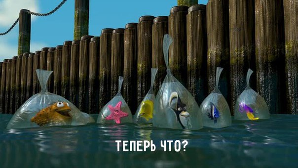 Да они же все там обдолбанные, нах!