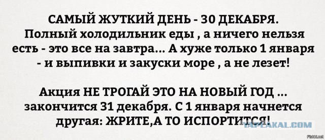 Прикольные и веселые картинки