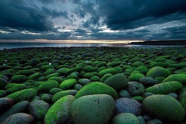 Моменты, запечатлённые на фото и просто позитив 5