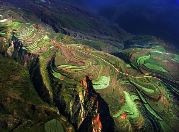 Фото интересные и не только