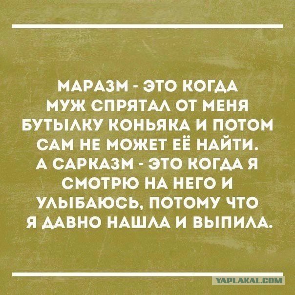 Смешные комментарии из социальных сетей 10.02.2017