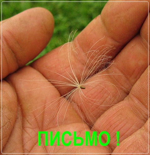 Поймут ли современные дети?