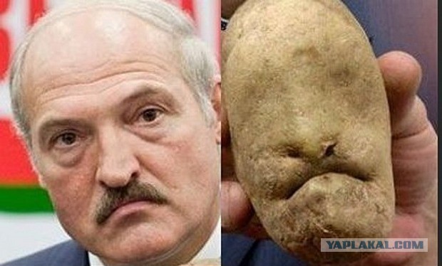 15 неожиданных вещей, которые страшно похожи друг на друга