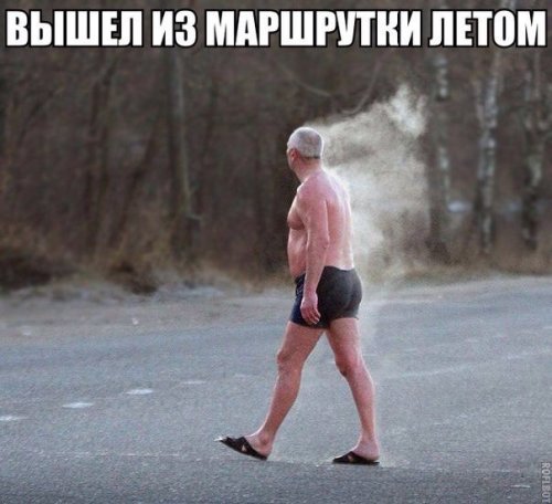 Прикольные картинки 21.06.2017