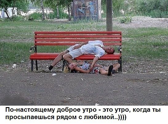 Подборка интересных и веселых картинок