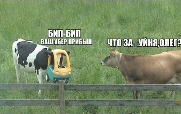 Смешные комментарии из социальных сетей 03.11.2017