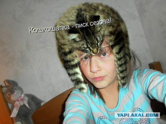 История одного неадекватного заказа
