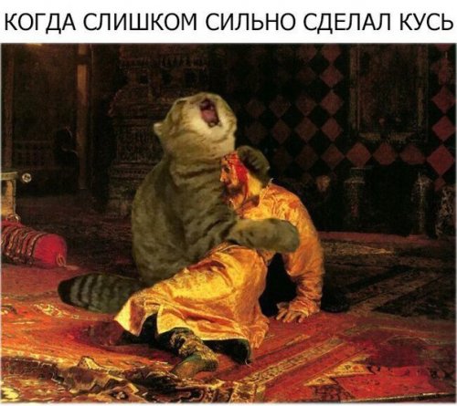 Зарядись позитивом