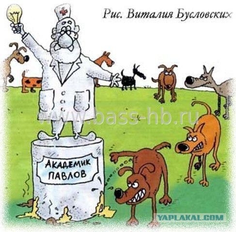 Эксперимент