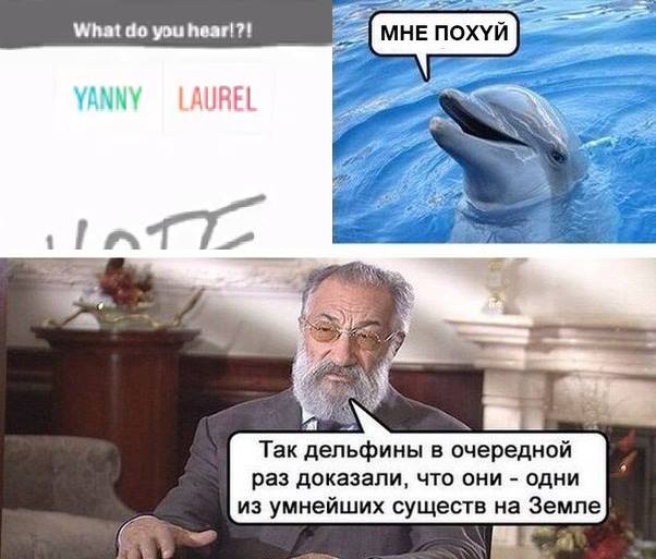 Аудиоиллюзия "Янни или Лорел". Звуковая версия "какого цвета платье"