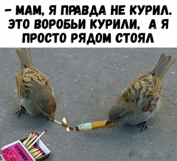 Немного картинок в эту пятницу