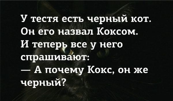 Разные картинки из интернета