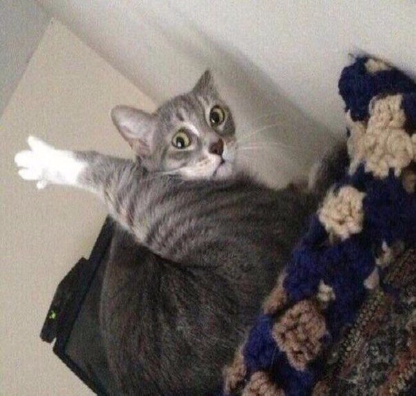 Немного милоты
