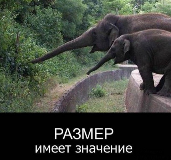 Анекдоты, истории и картинки с надписями