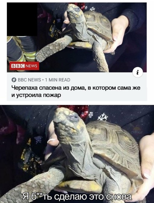 Бредзона 31.12.2019