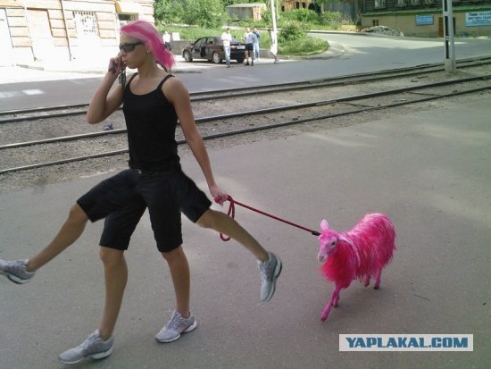 Перис Хилтон из Фрязино