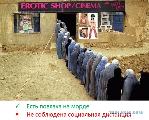 К тяжелому понедельнику. Немного слегка пошлых картинок с надписями 16+ (20.07.2020)