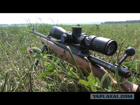 Не стреляй? Или немного мыслей молодого охотника