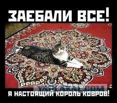 Фотожаба: Его Ворсейшество!