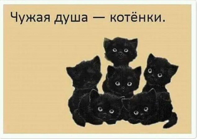 Кошка бьется током