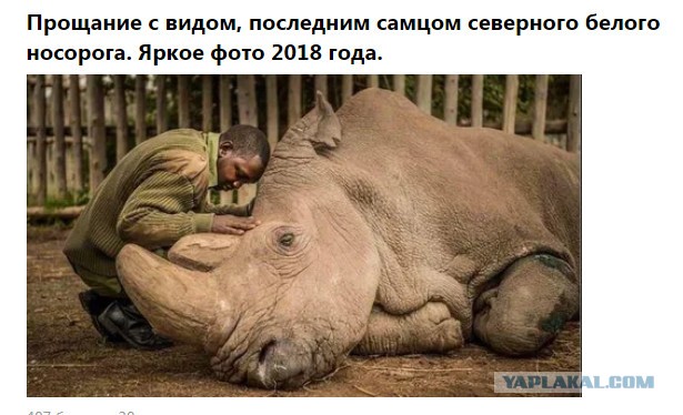 Фото-винегрет-3. Картинки ниапчём и обо всём