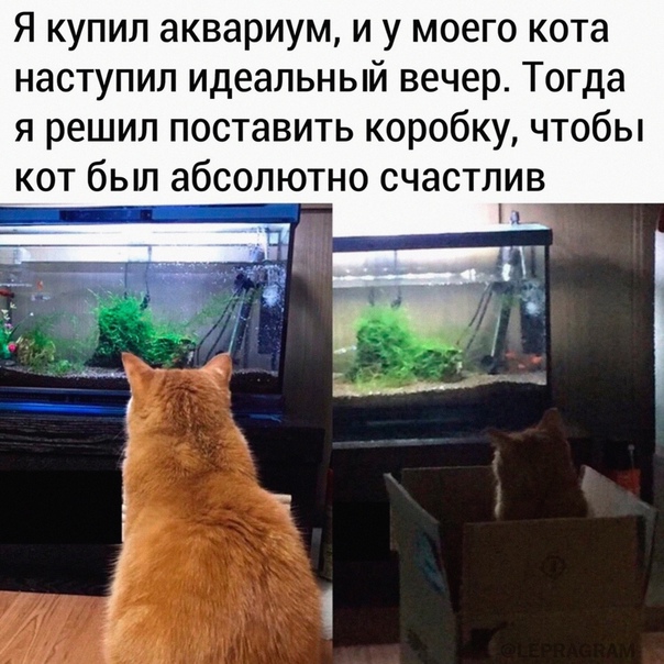 Картинки с надписями и всякие жизненные фразы