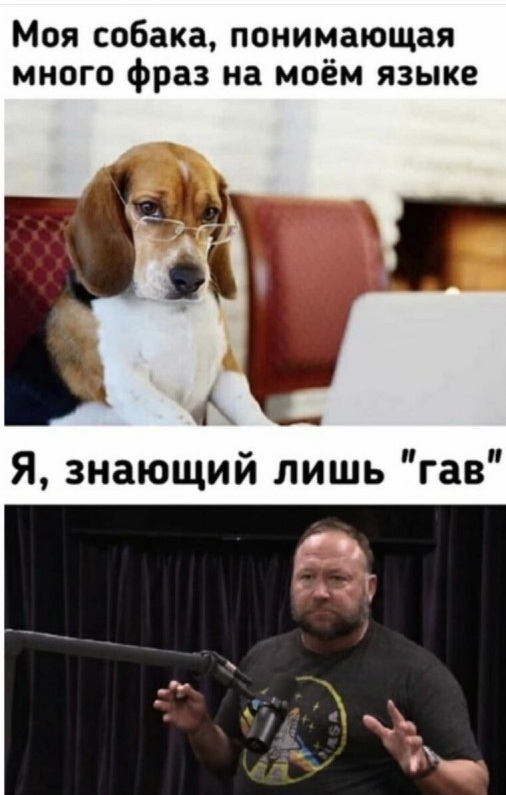 Картинки и мемы для настроения 17.11.2021