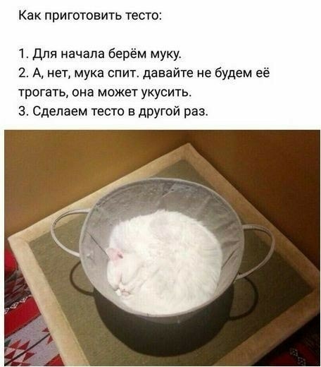 Уря! Уря! ЯП починилсЯ! Давайте картинок накидаем