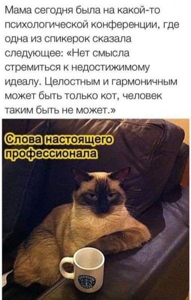 Пятница. Вечер. Картинки всякие...