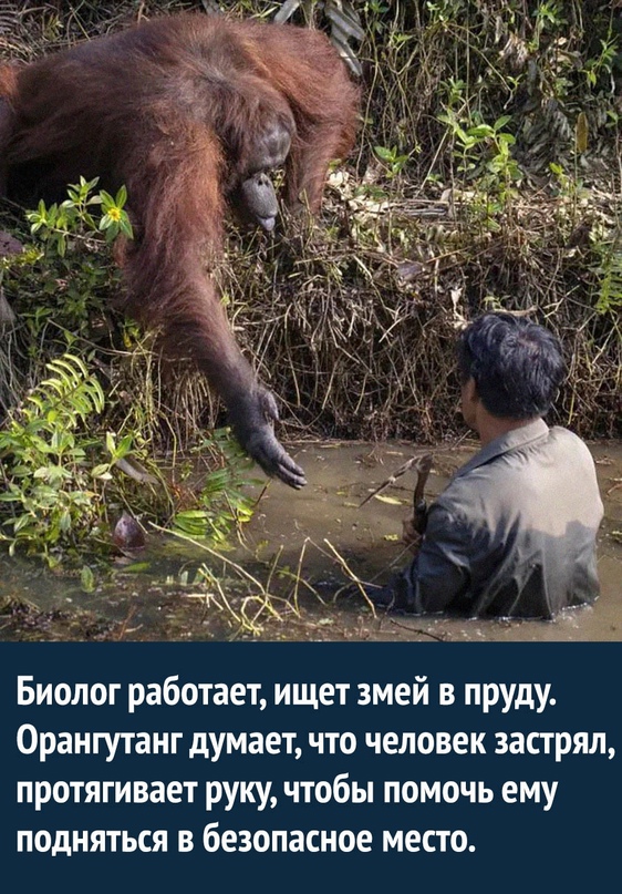 Картинки и мемы для настроения. Выходные рядышком...