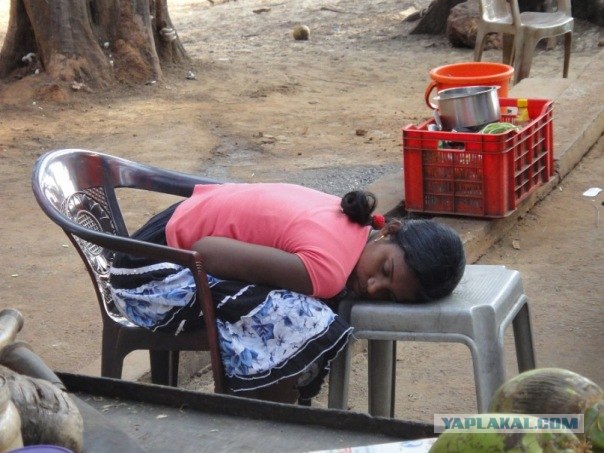 Индия 2007 - 2008 г.