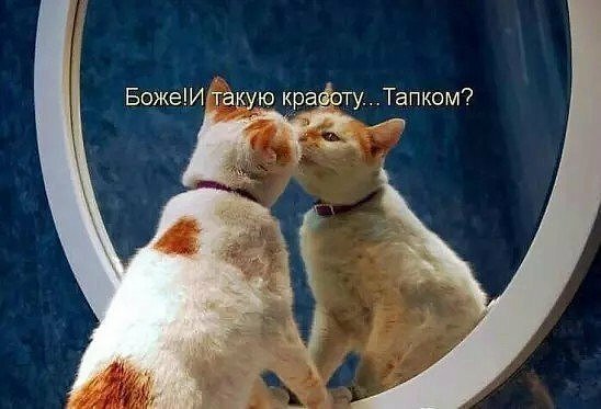Картинки и мемы, всем хороших выходных