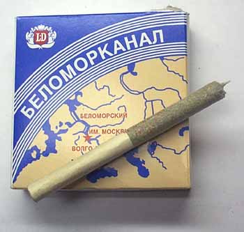 Прикольные и просто красивые картинки 25.10.2022