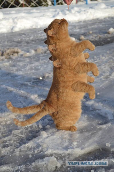 Чернобыль. Припять. Боль