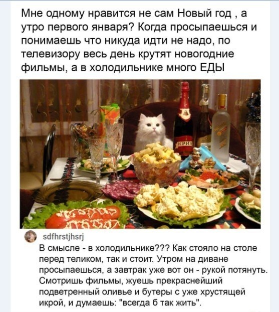 Смешные комментарии из социальных сетей 30.12.22