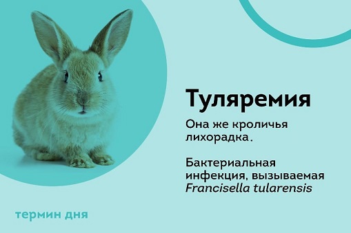 Победная поступь идиотизма по планете – том 6
