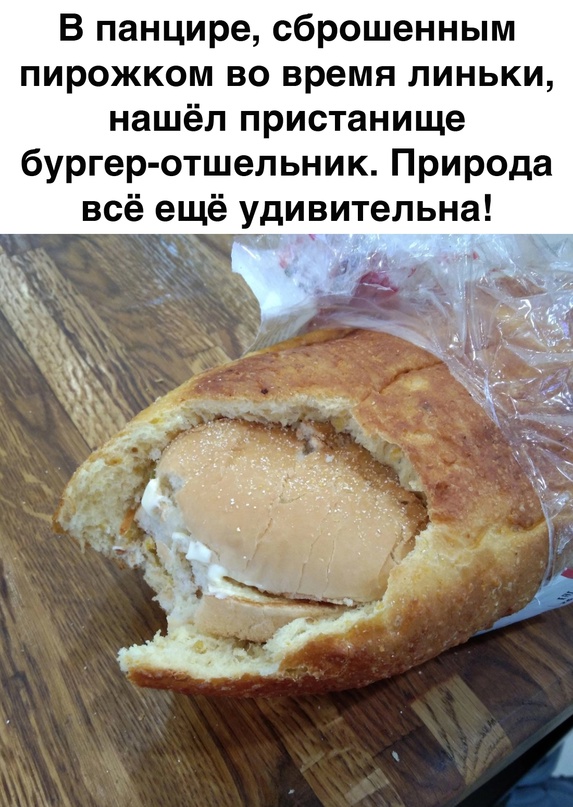 Картинки и мемы, всем хороших выходных