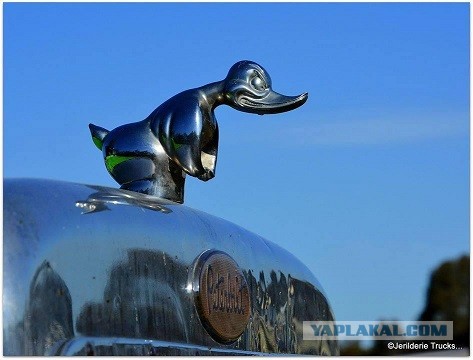 Страшный сон автоледей. Монстры дорог