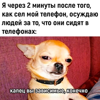 Картинки и мемы, всяко разно - 185