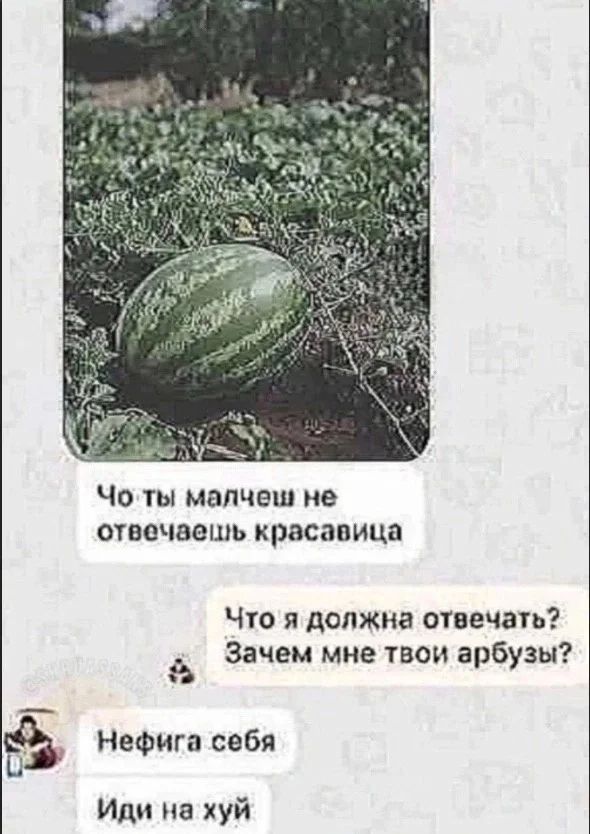 Мемы для тех, у кого IQ от 30 до 99