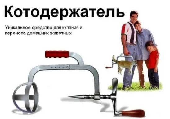 Дерзкий кот у ветеринара