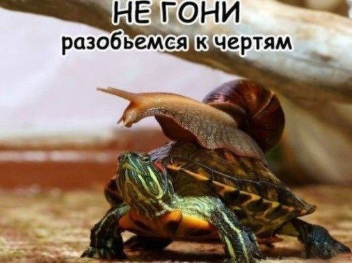 Так себе картинки 22.10.23