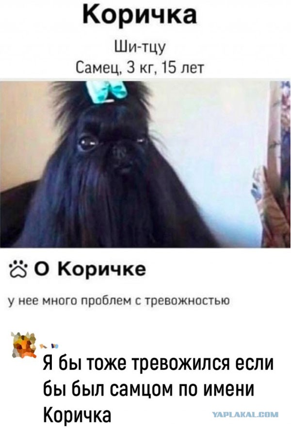 Чуток картинок