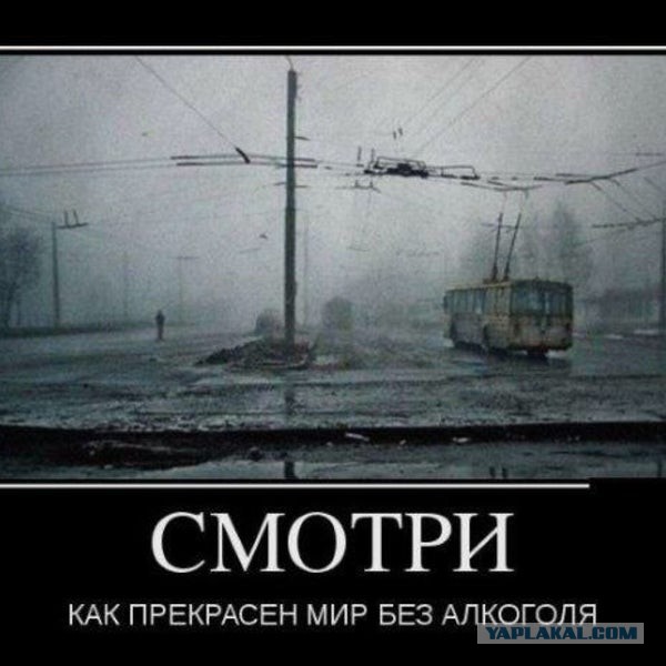 Как бутылочка пива меняет мировоззрение.