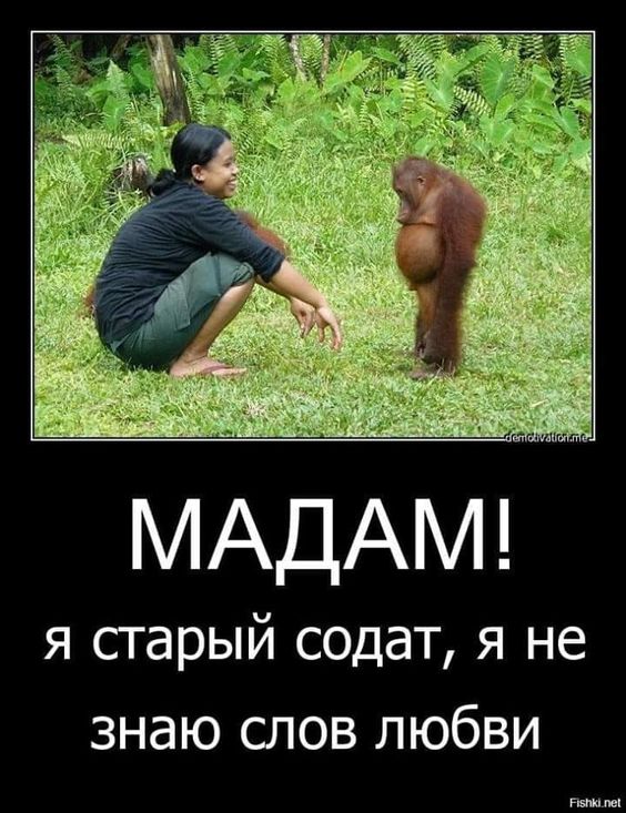 Прикольные и просто красивые картинки