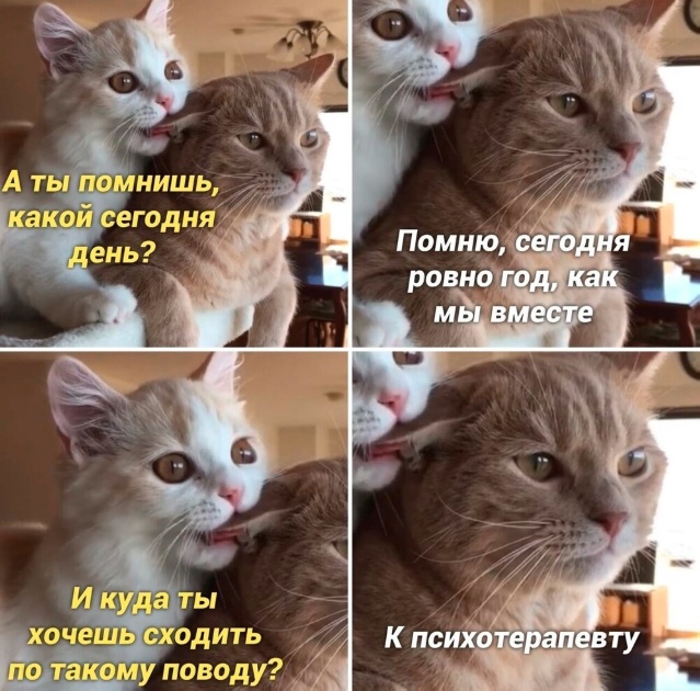 Так себе картинки 01.03.25