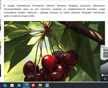 Ростовский дед так яростно защищал свою черешню, что обстрелял 13-летних школьниц, которые на нее покусились