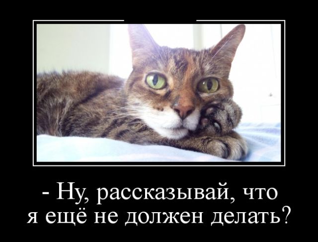 В России зумеры и альфа будут снимать квартиры всю жизнь, — финансисты