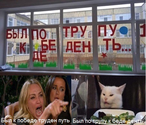 Знаменитый кот