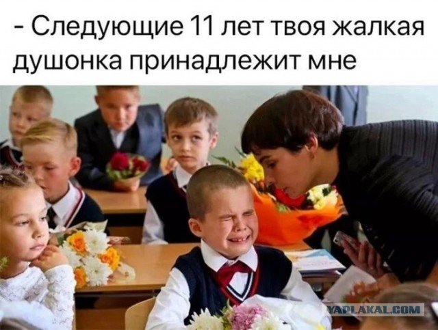 Картинки для деградации 36 (разной степени свежести)